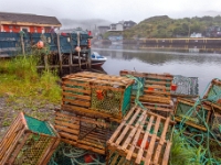 Quidi Vidi, Nowa Fundlandia